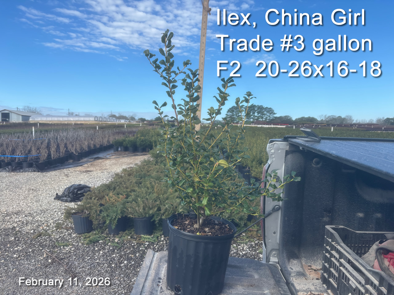 gallery/cg3t f2 feb11.jpg